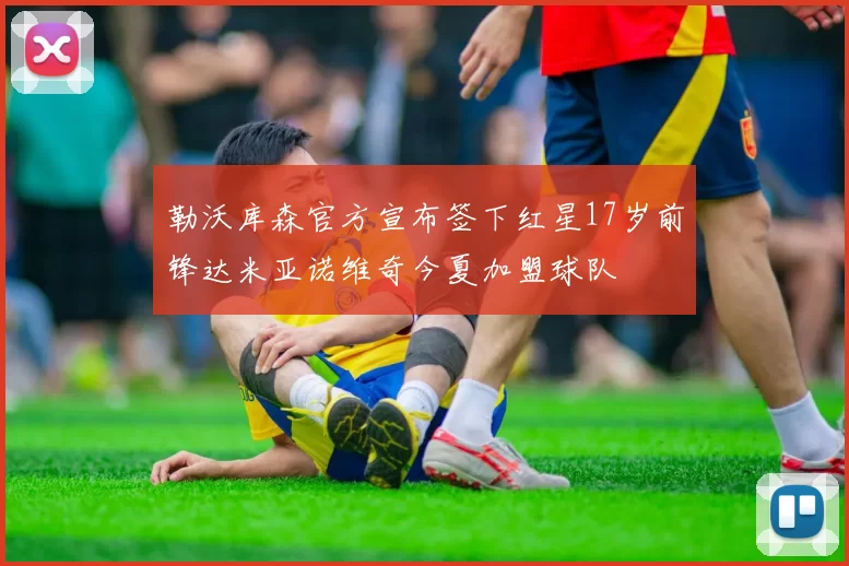 勒沃库森官方宣布签下红星17岁前锋达米亚诺维奇今夏加盟球队