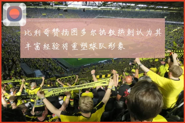 比利奇赞扬图多尔执教热刺认为其丰富经验将重塑球队形象