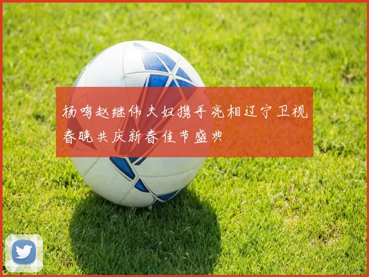 杨鸣赵继伟夫妇携手亮相辽宁卫视春晚共庆新春佳节盛典