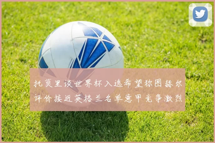 托莫里谈世界杯入选希望称图赫尔评价接近英格兰名单意甲竞争激烈
